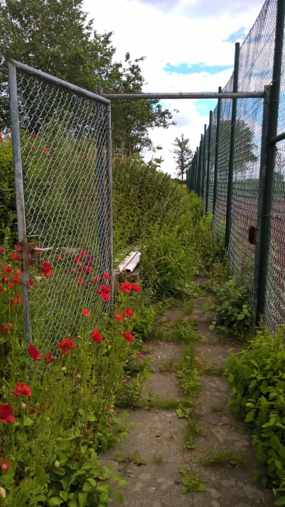 Sonstiges Ferienhauspark Asgard in Damp