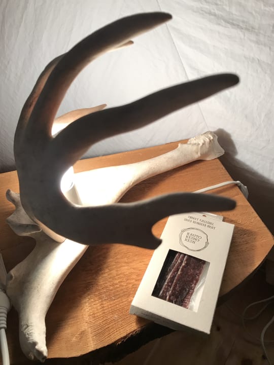 Zimmer Wild Caribou Dome