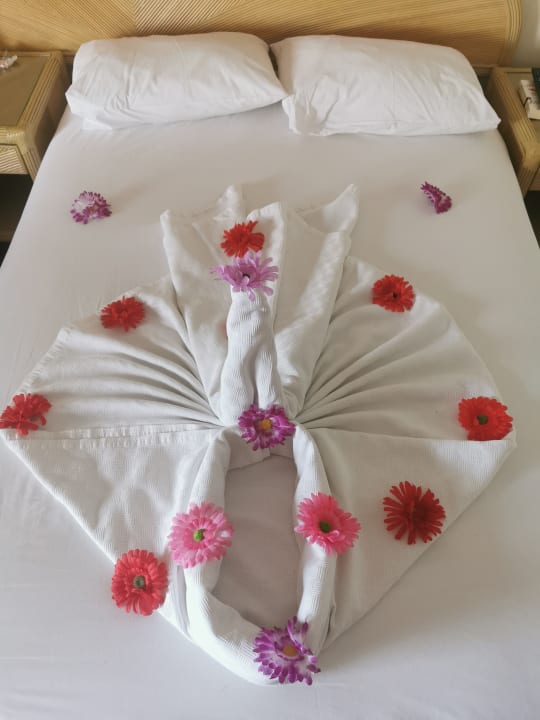 Zimmer Aska Hotel Just in Beach