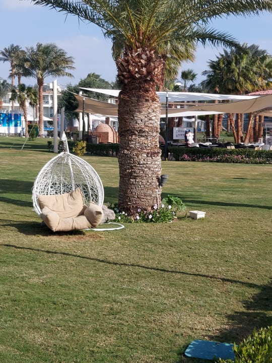 Gartenanlage Amarina Abu Soma Resort & Aquapark