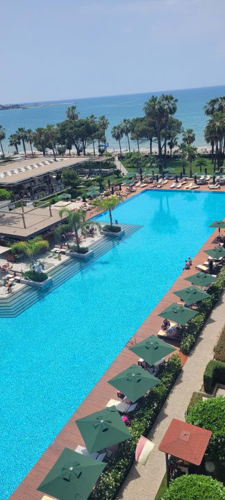 Pool Acanthus Cennet Barut Collection