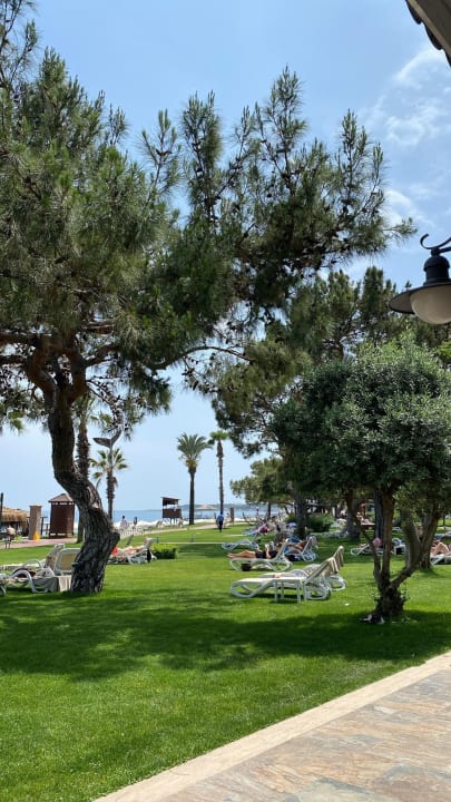 Gartenanlage TUI MAGIC LIFE Beldibi +16