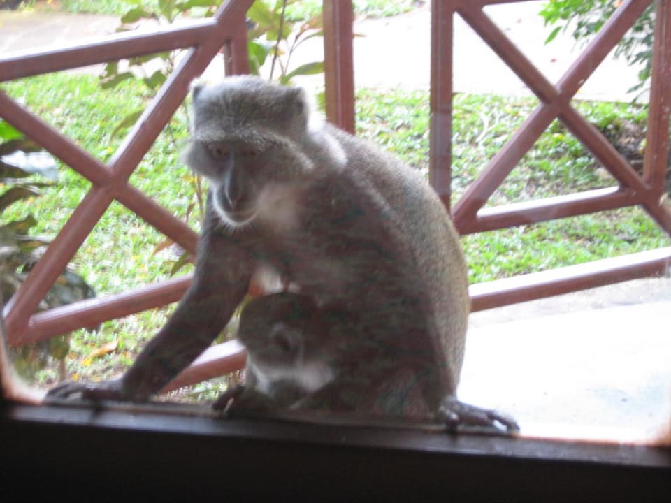 Besucher Neptune Village Beach Resort & Spa