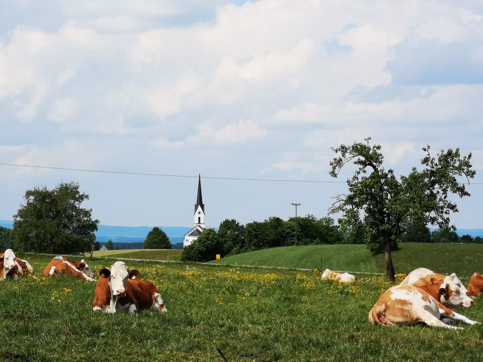 Ausblick Ferienparadies Reifnhof