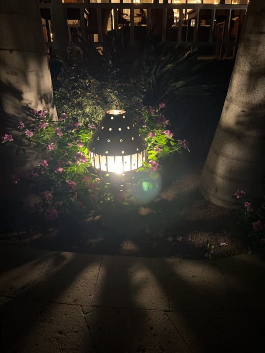 Gartenanlage Hotel Fariones