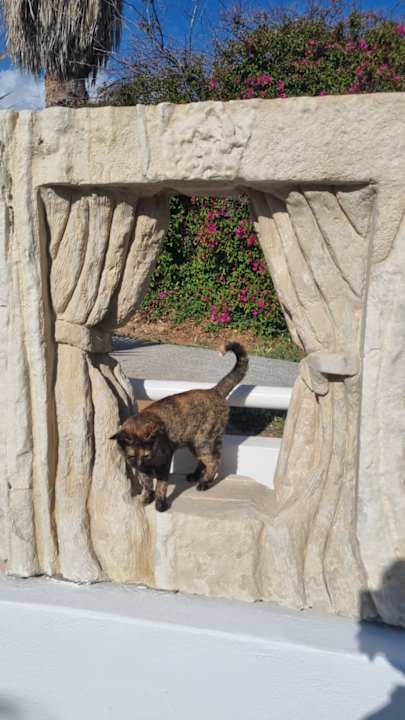 Gartenanlage Knossos Beach Bungalows Suites Resort & Spa