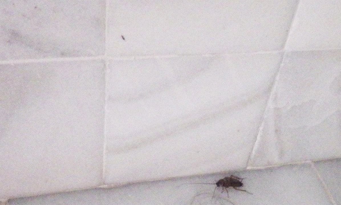 Zimmer Hipotels Eurotel Punta Rotja Golf & Spa