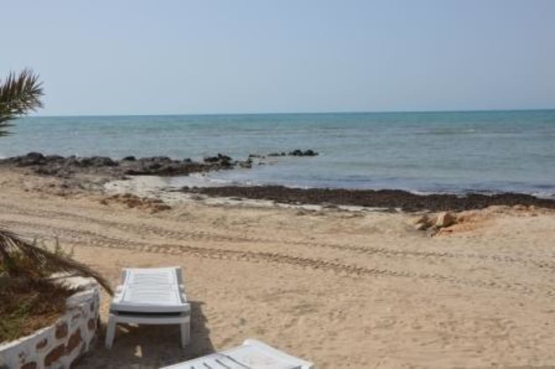 Strand - Seegras Hotel El Mouradi Djerba Menzel