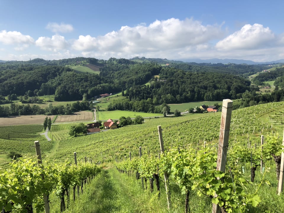 Sonstiges Weingut-Ferienhaus Sonja Rohrbacher