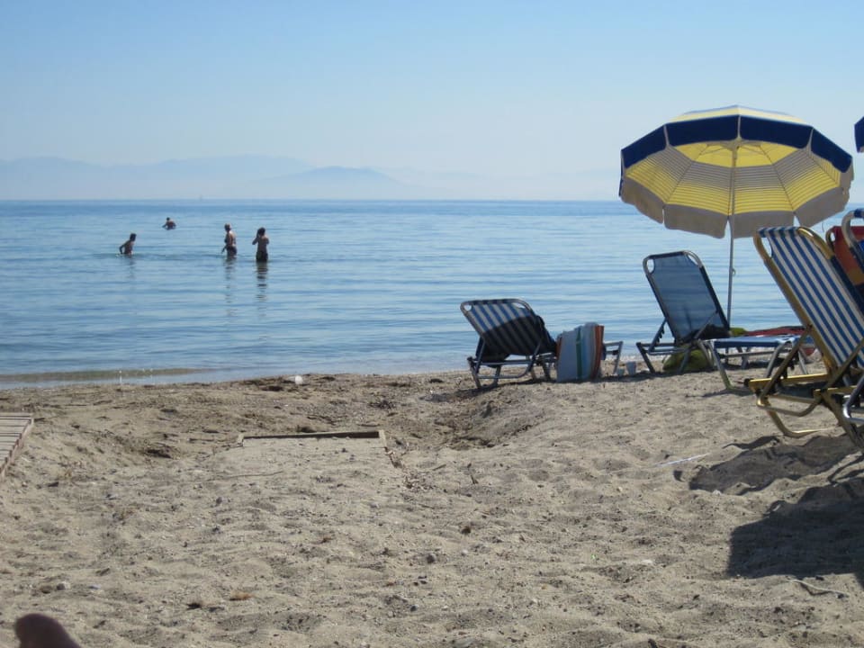 Entspannung pur  Hotel Albatros