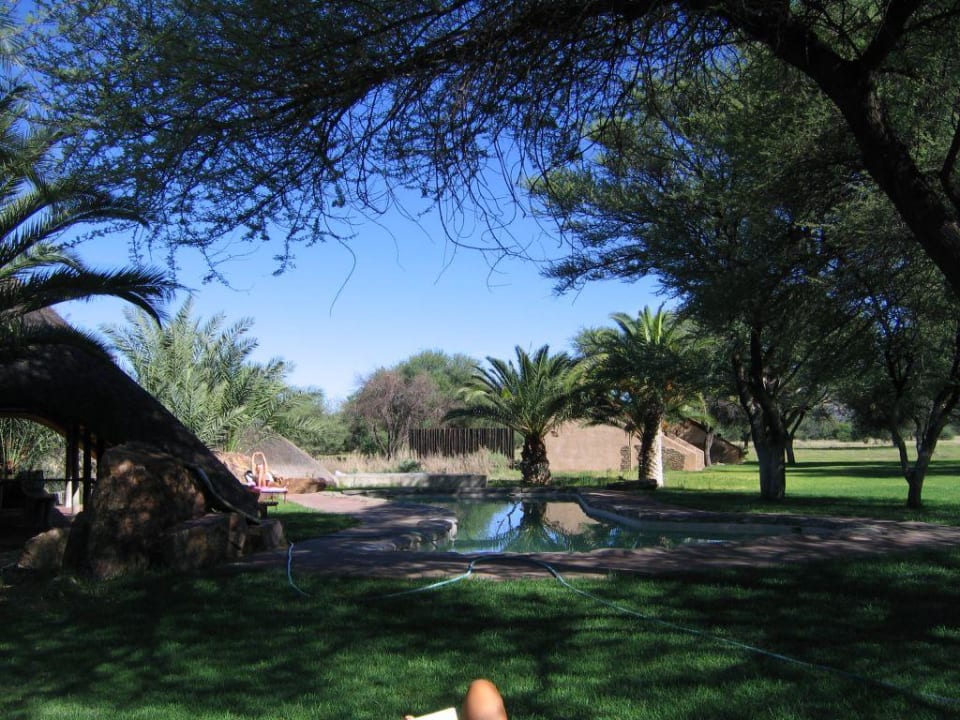 Pool Hotel Okapuka Ranch