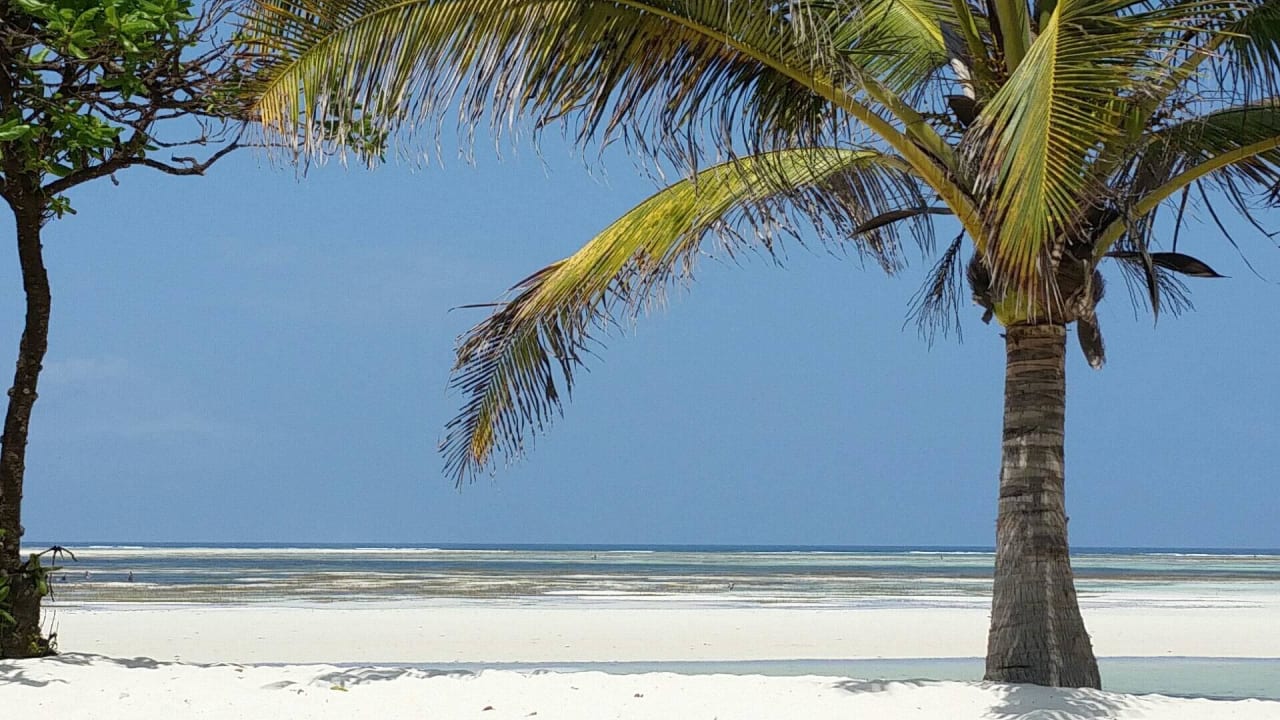 Ein Traum... Neptune Pwani Beach Resort & Spa