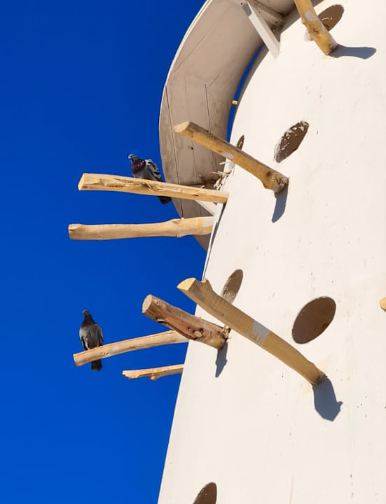 Sonstiges Grand Makadi