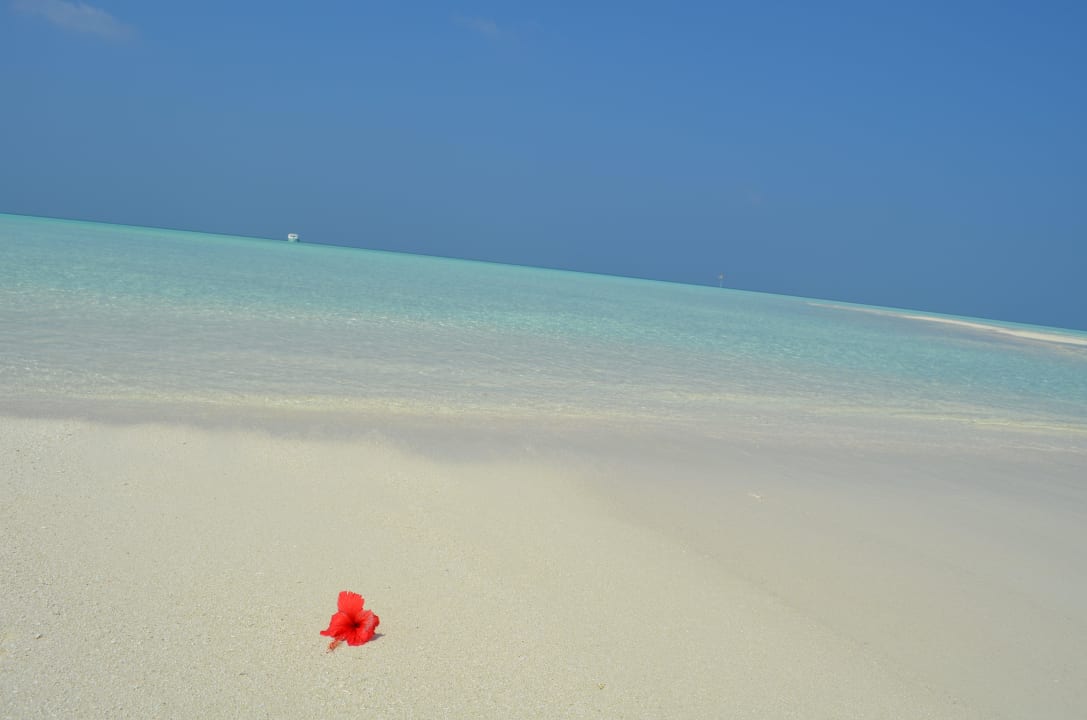 Ein Traum und keine Menschenseele unterwegs Sun Siyam Olhuveli