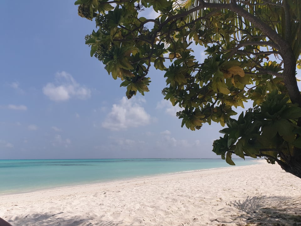 Strand Meeru Maldives Resort Island