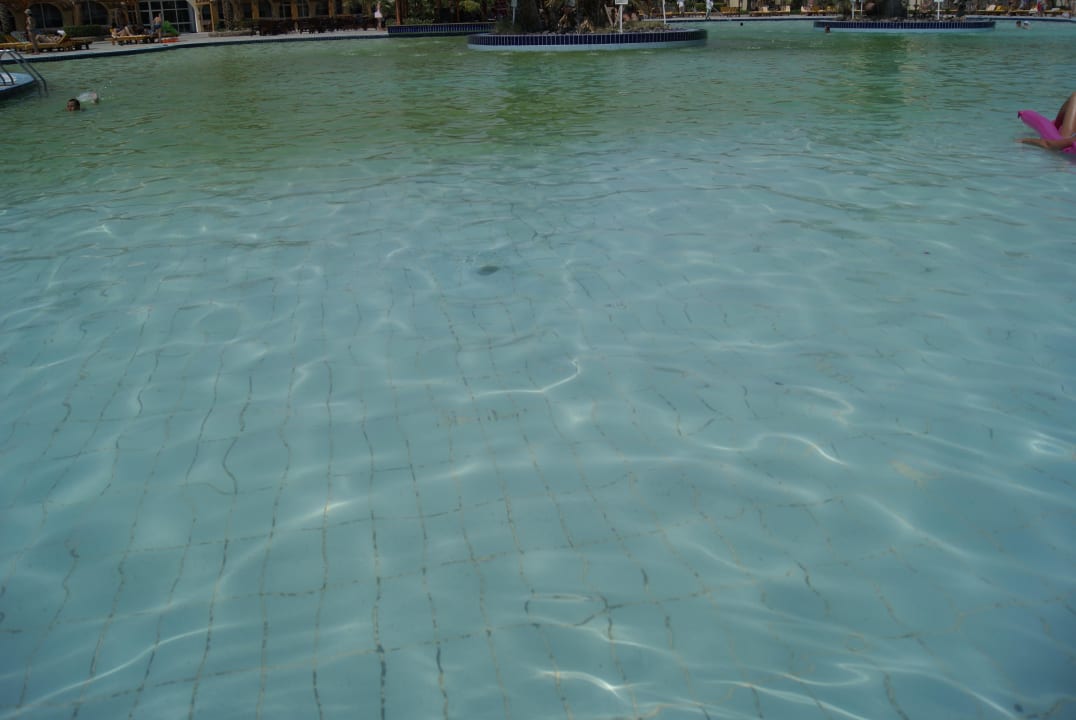 Czystość w basenie Desert Rose