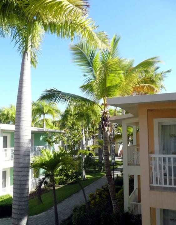 Blick von meinem Zimmer Playabachata Hotel