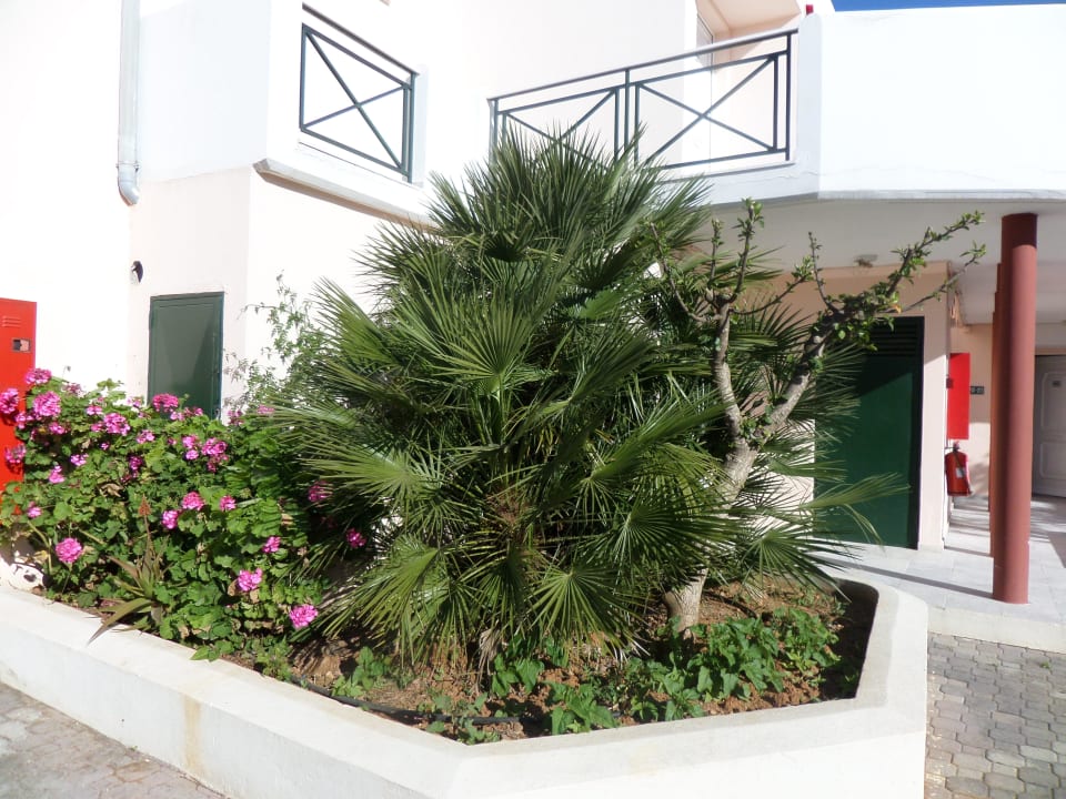 Bei den Bungalows HARPIN Georgioupolis Resort Aquapark & SPA