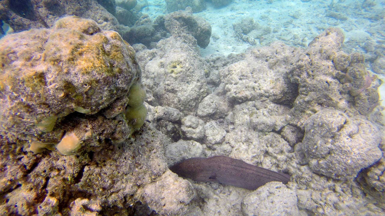 Sport & Freizeit Summer Island Maldives