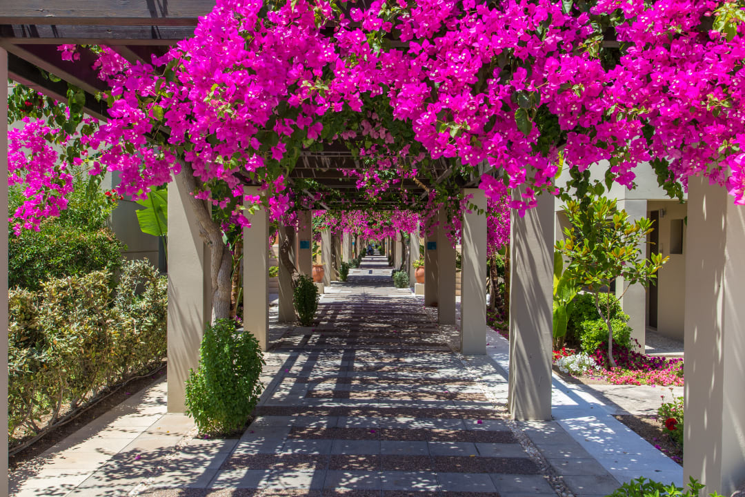 Gartenanlage Astir Odysseus Kos Resort & Spa