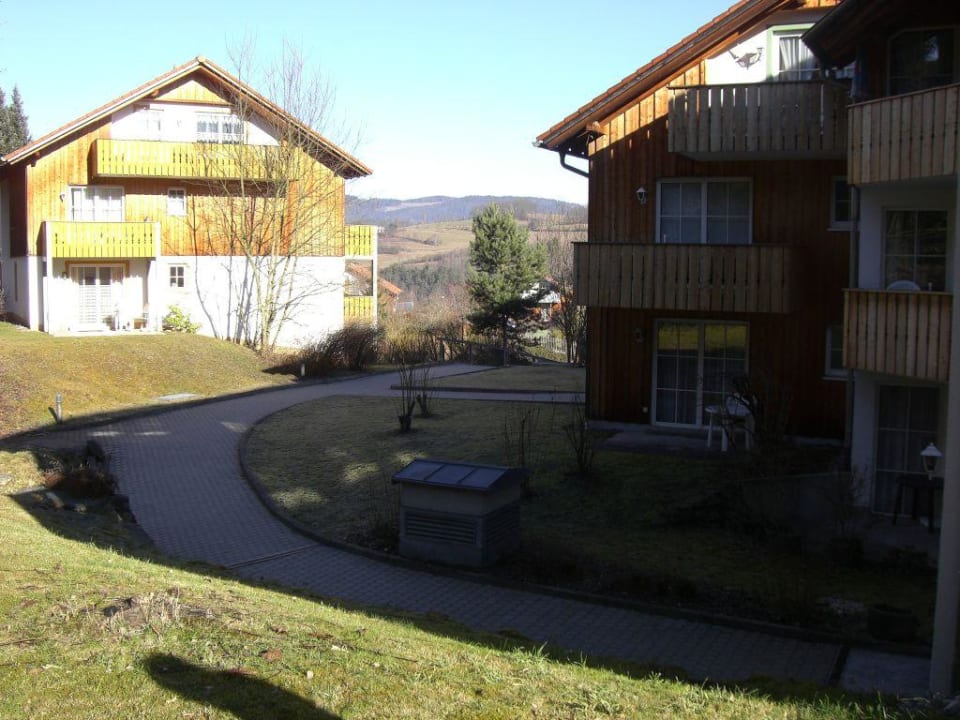 Ausblick vom Zimmer Feriendorf Schwarzholz