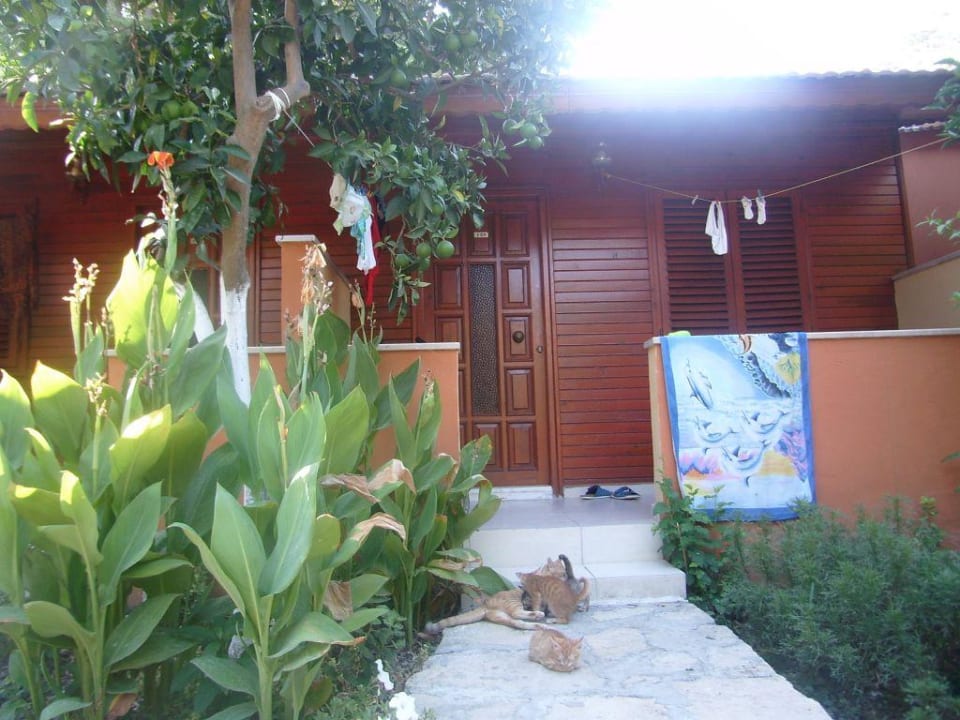 Наши  друзья Özlem Garden Hotel