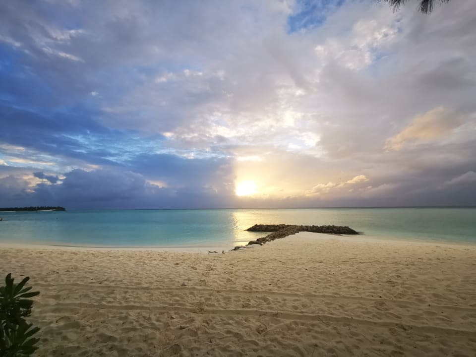 Ausblick Summer Island Maldives