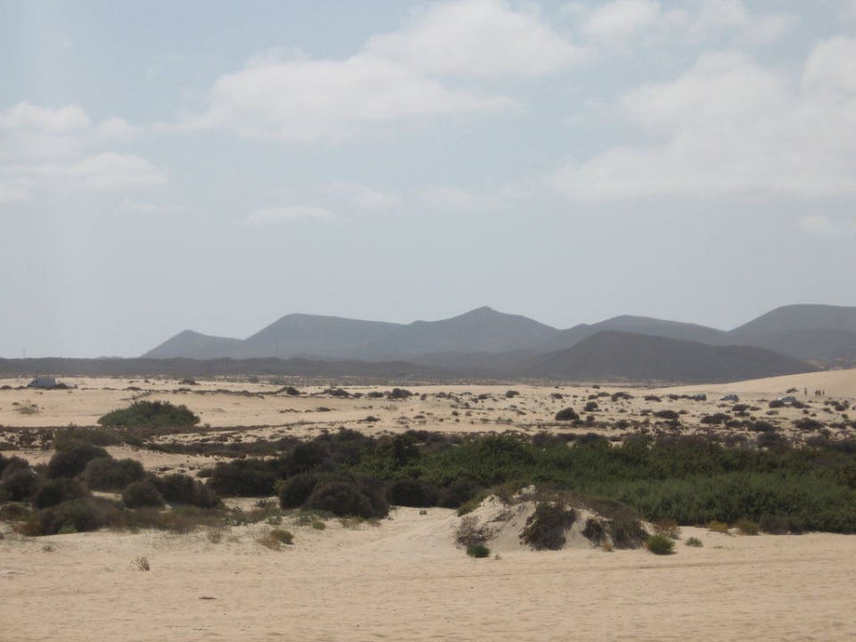 Aussicht BLUESEA Aloe Corralejo