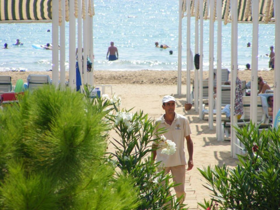 Am Strand vom KBR Sunis Kumköy Beach Resort Hotel & Spa