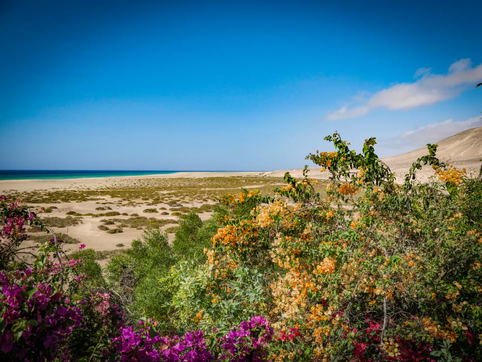 Ausblick Paradisus by Meliá Fuerteventura