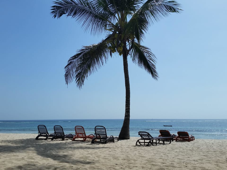 Amani Beach Resort Resort Amani Tiwi Beach