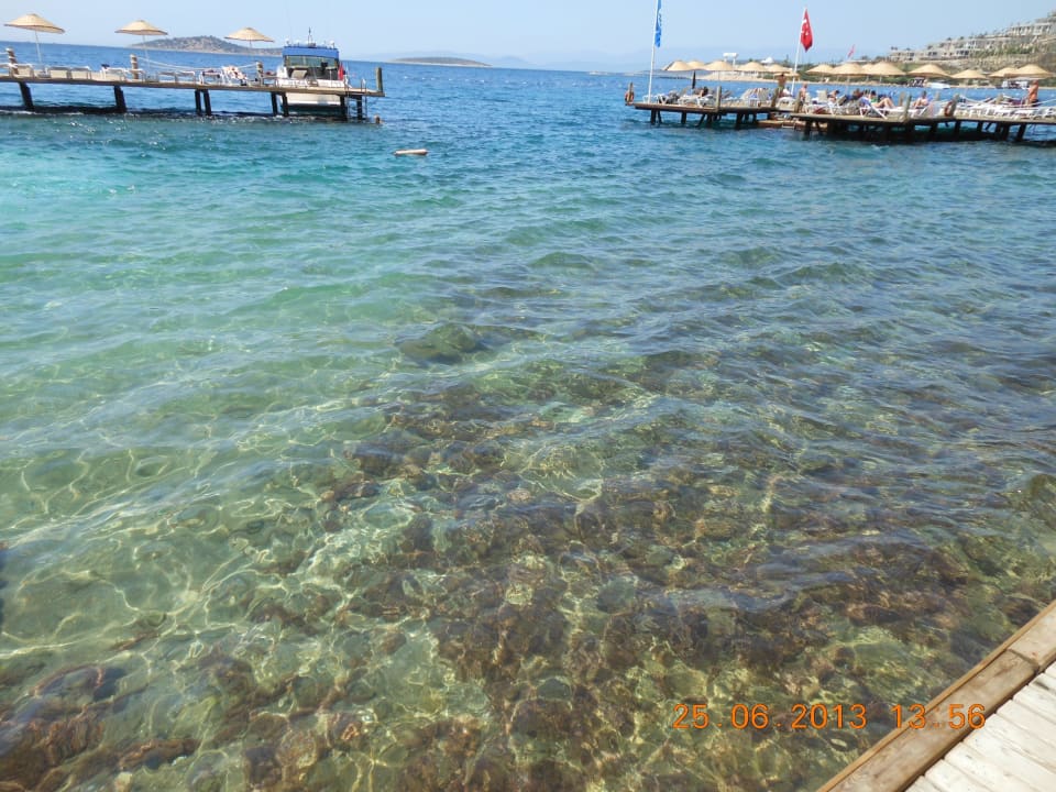 Widok z pomostu Blue Dreams Resort & Spa