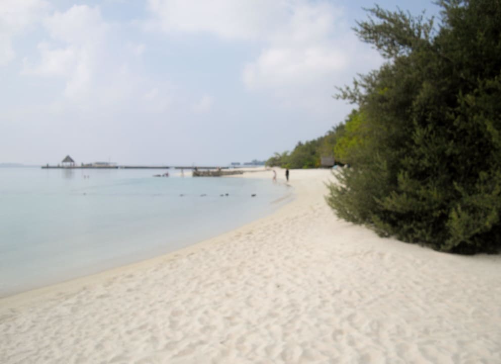 Strand Summer Island Maldives
