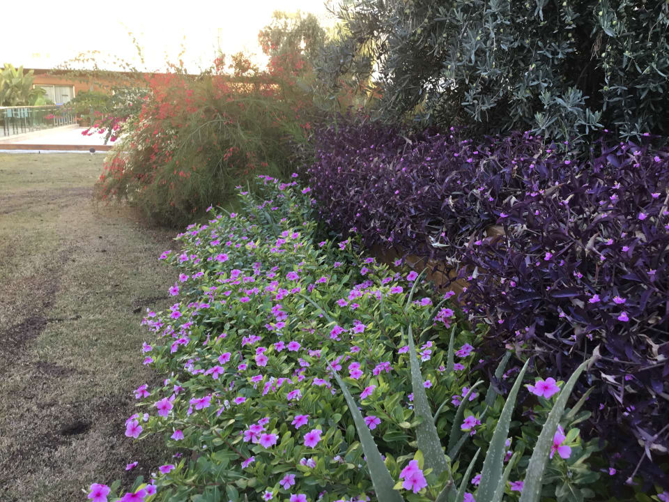 Gartenanlage Sentido Trendy Verbena Beach