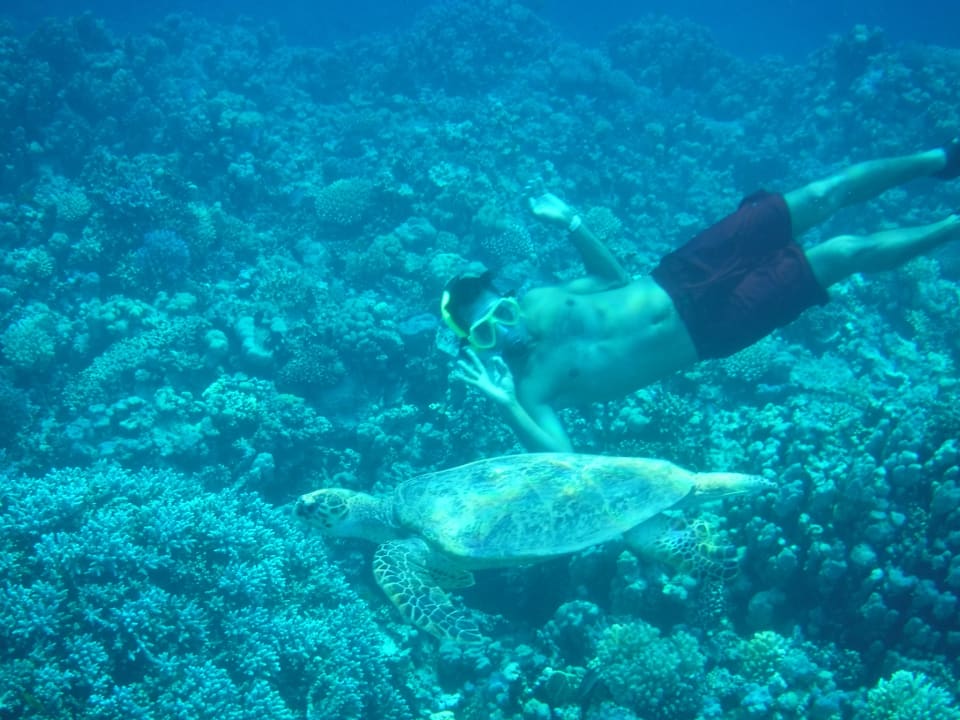 Strand Makadi Spa - Adults only