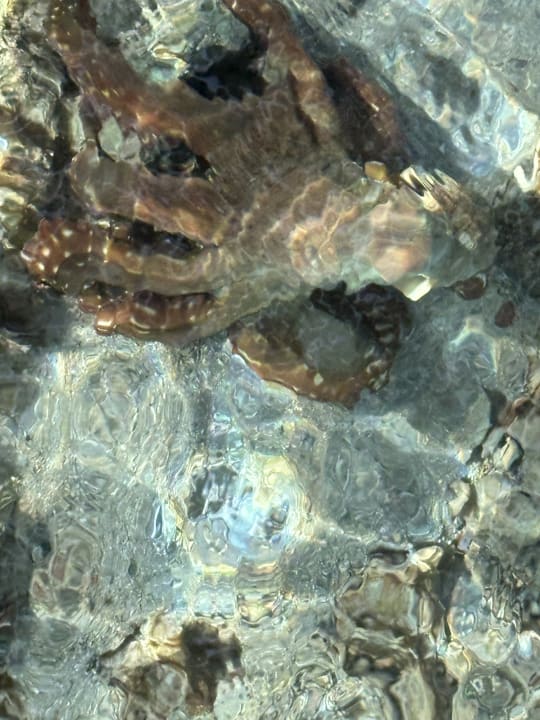 Sport & Freizeit Stella Beach Resort & Spa Makadi Bay