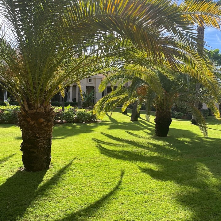 Gartenanlage Hotel Riu Touareg