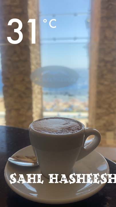 Ausblick Pickalbatros Citadel Resort