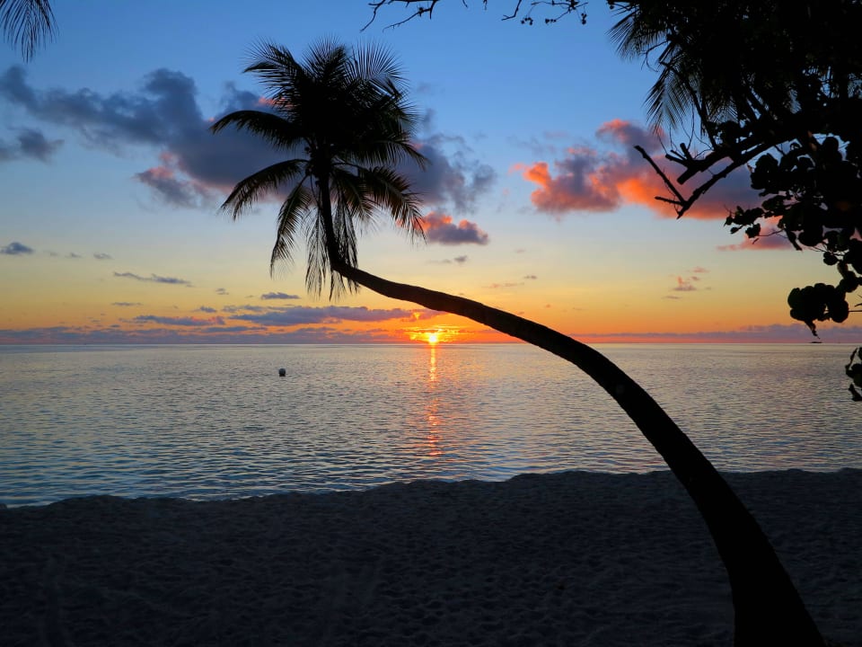 Sonnenaufgang vor Bungi 32 Diamonds Thudufushi
