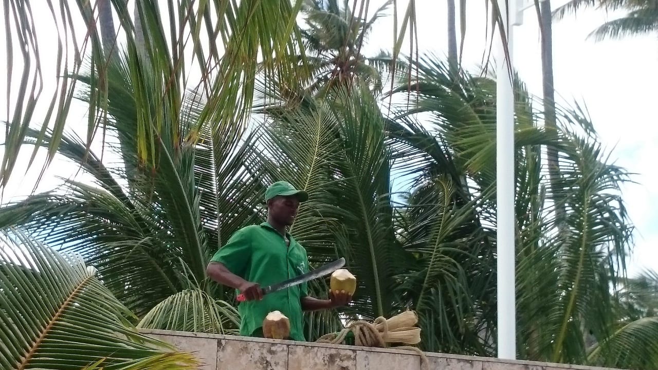 Extra für uns :-D Villas Bavaro Resort & Spa