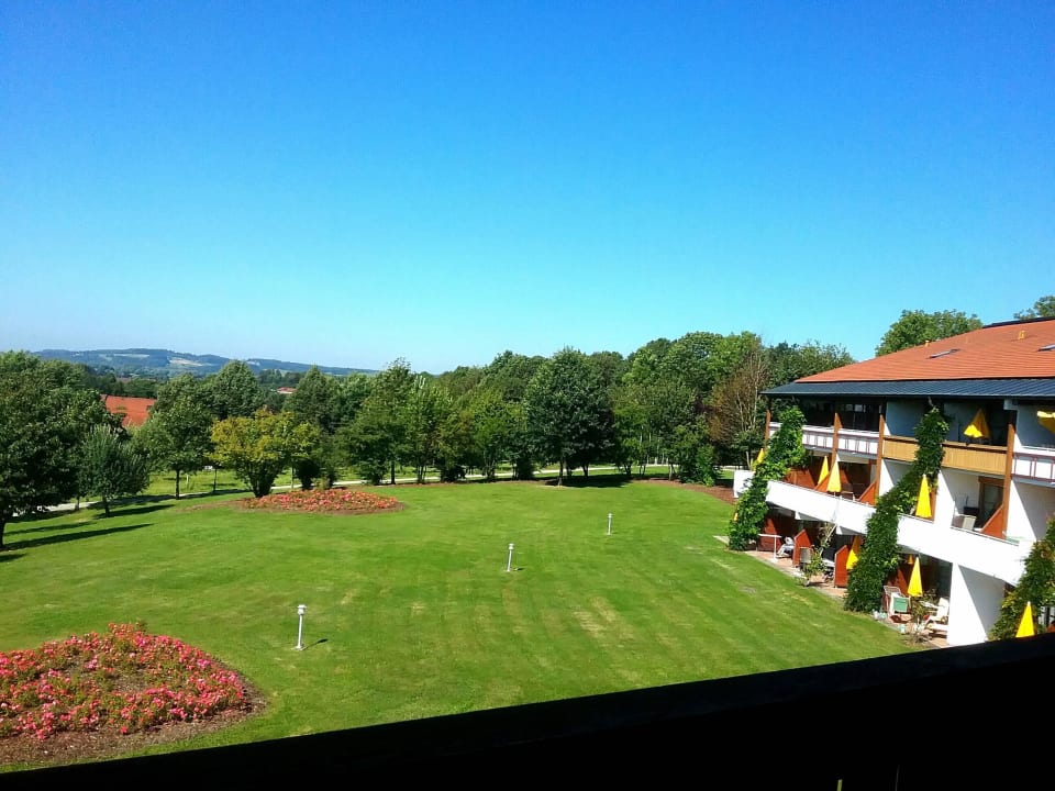 Aussicht auf Sonnenwiese vor dem Haus Apart Hotel am Sonnenhügel