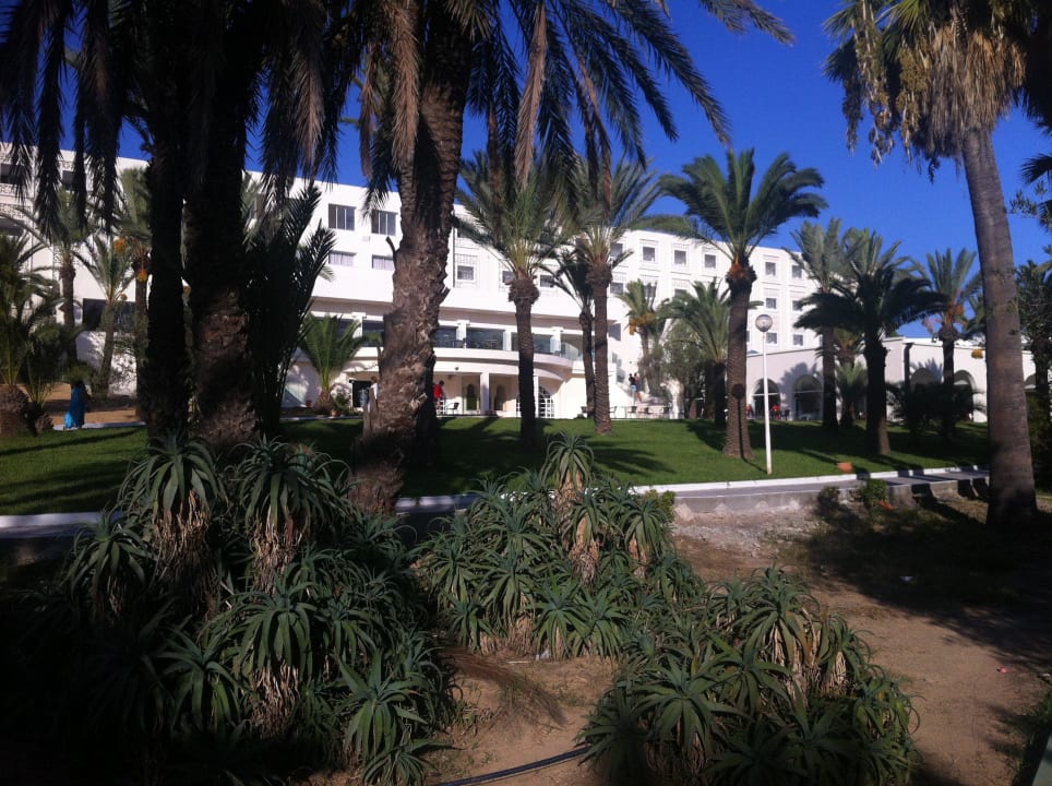 Ungepflegte Gartenanlage! Hotel Marhaba Club