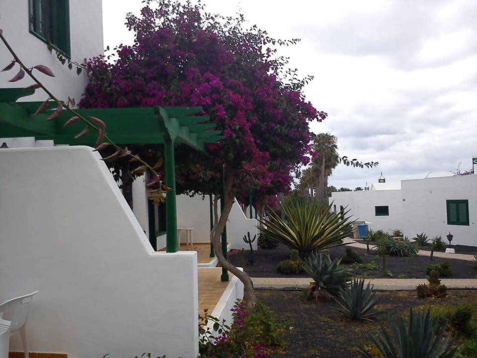 Anlage Hotel Hyde Park Lane