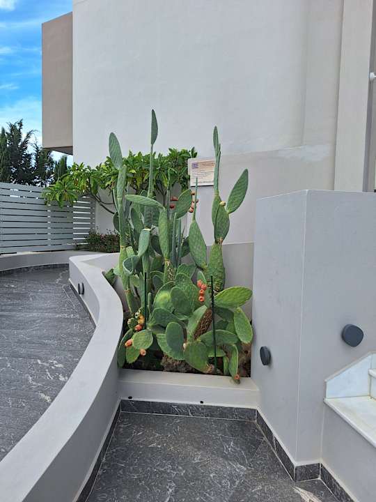 Außenansicht Hotel Minos Mare Beach