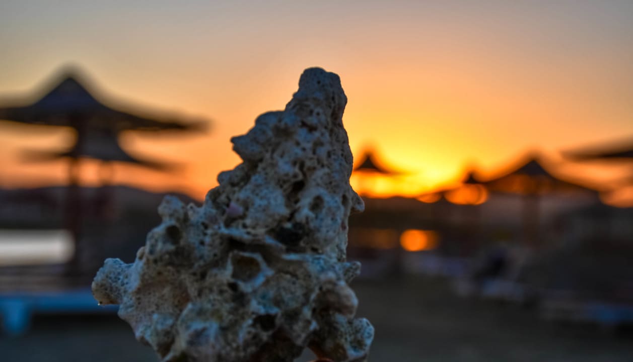 Sonstiges Three Corners Equinox Beach Resort