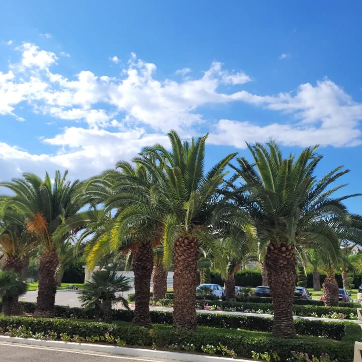 Außenansicht Iberostar Waves Averroes