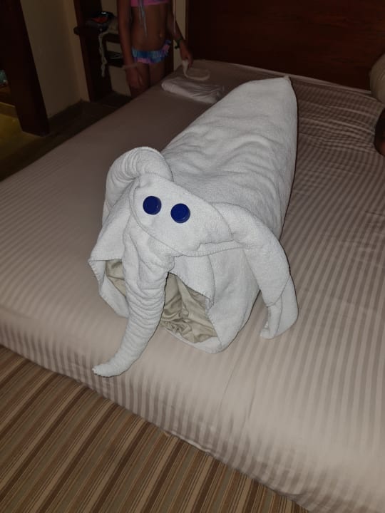 Zimmer Grand Waterworld Makadi & Family Star Makadi