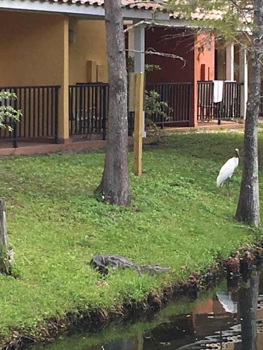 Rückseite der Villen Saratoga Resort Villas