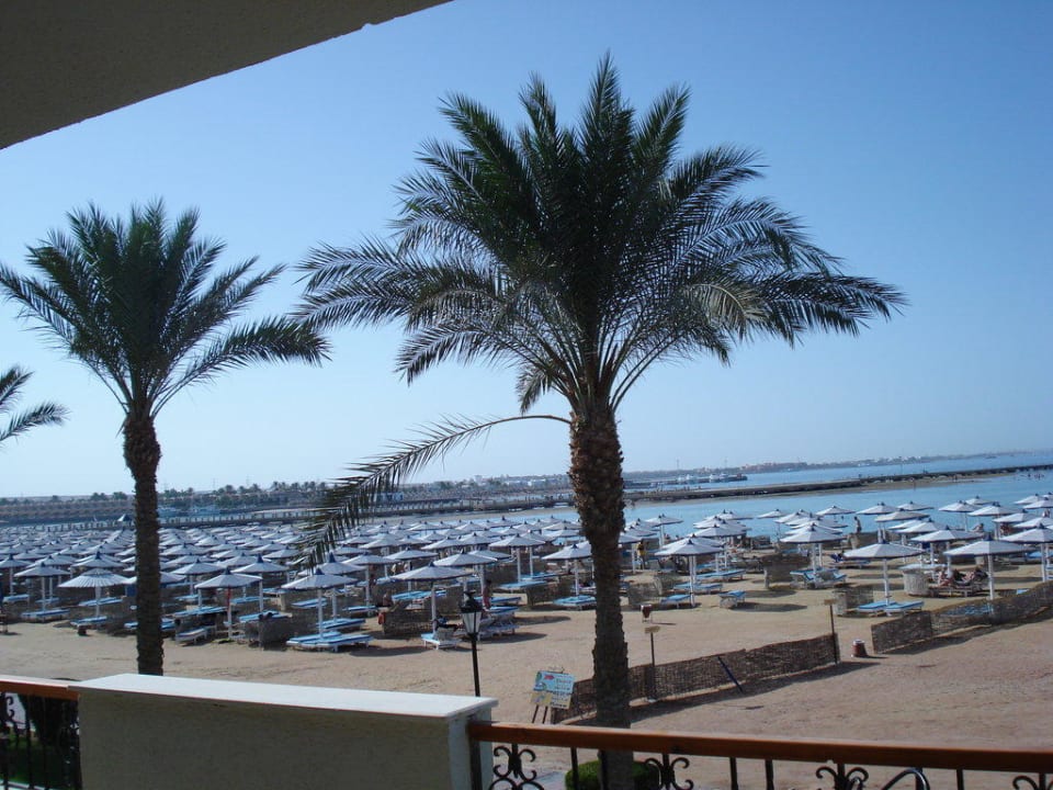 Widok z pokoju Pickalbatros Dana Beach Resort - Hurghada