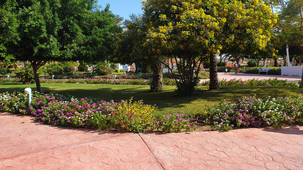 Gartenanlage Desert Rose